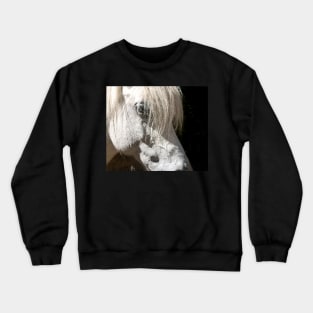 Beautiful white horse portrait on black background Crewneck Sweatshirt